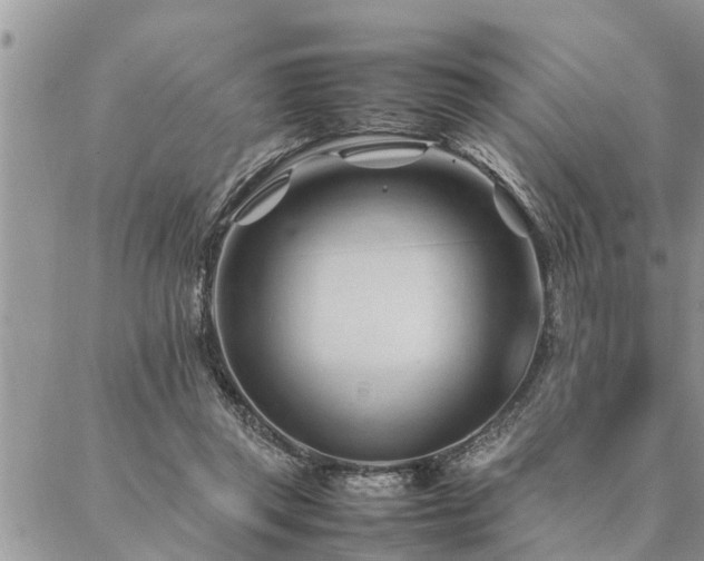 X0000087390357200704201248