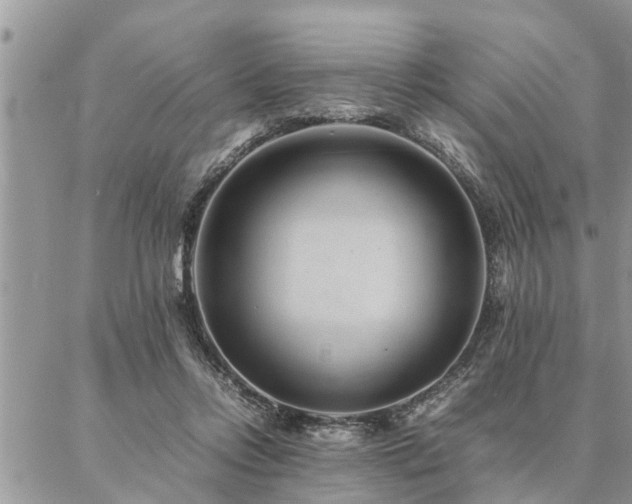 X0000087390358200704201248