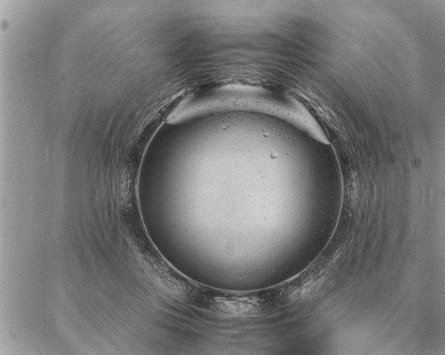 X0000087390359200704201248