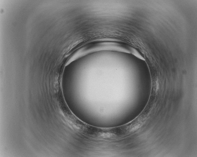 X0000087390360200704201248