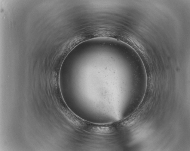 X0000087390361200704201248