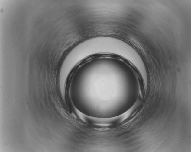 X0000087390362200704201248