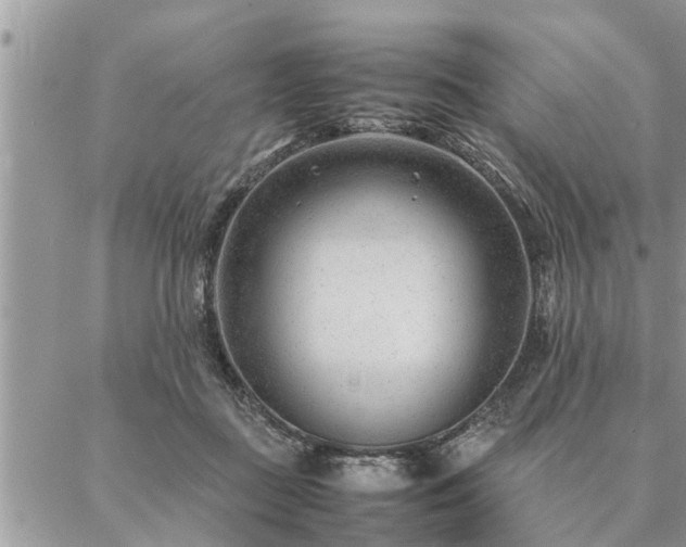 X0000087390363200704201248