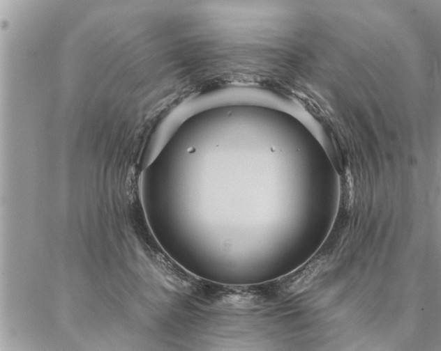 X0000087390364200704201248