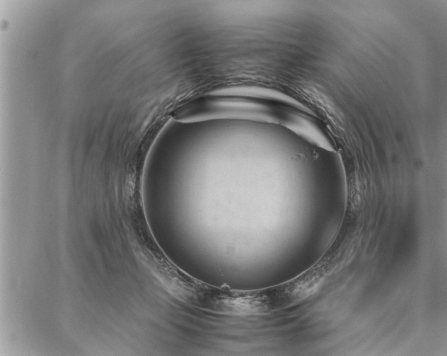 X0000087390365200704201248