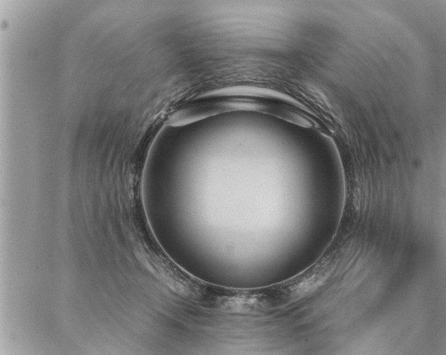 X0000087390366200704201248