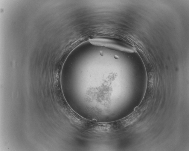 X0000087390369200704201248