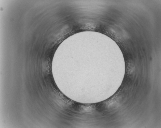 X0000087390370200704201248