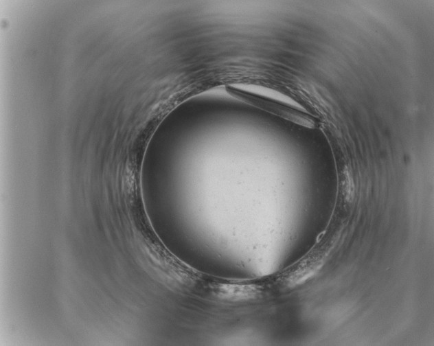 X0000087390371200704201248