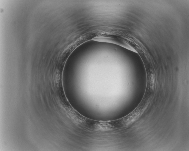 X0000087390372200704201248