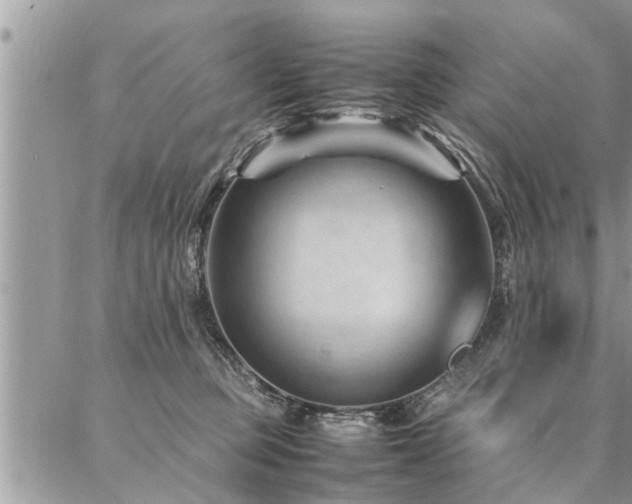 X0000087390373200704201248