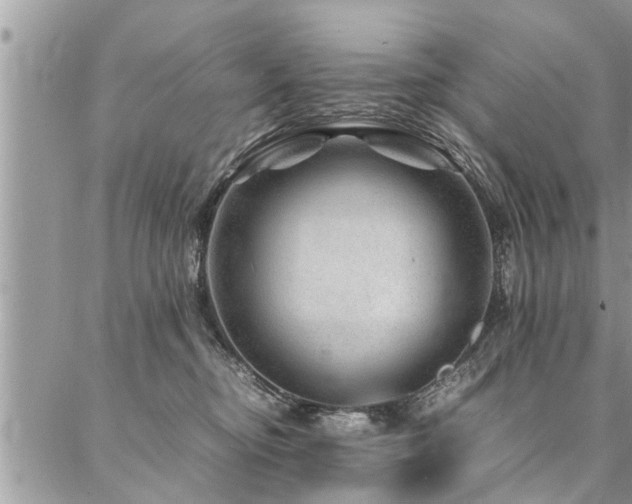 X0000087390374200704201248