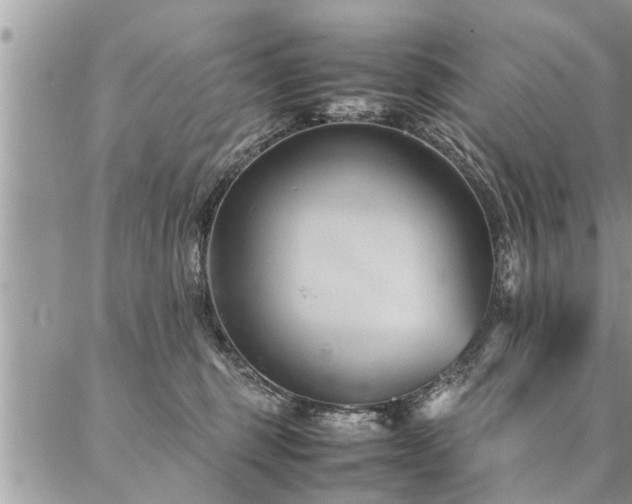 X0000087390375200704201248