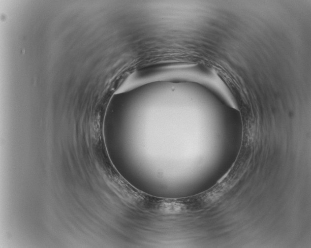 X0000087390376200704201248