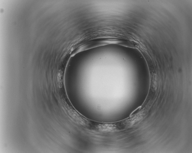 X0000087390378200704201248