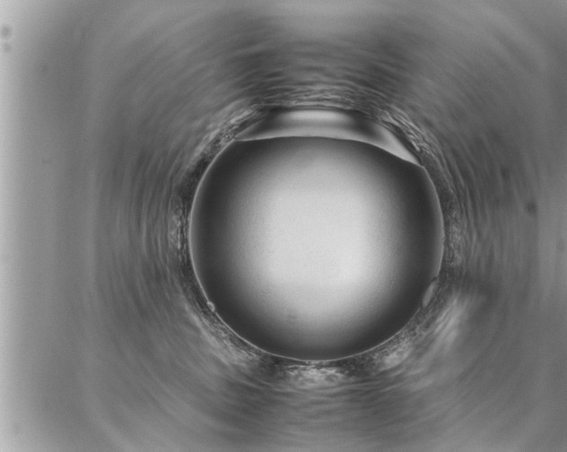 X0000087390379200704201248