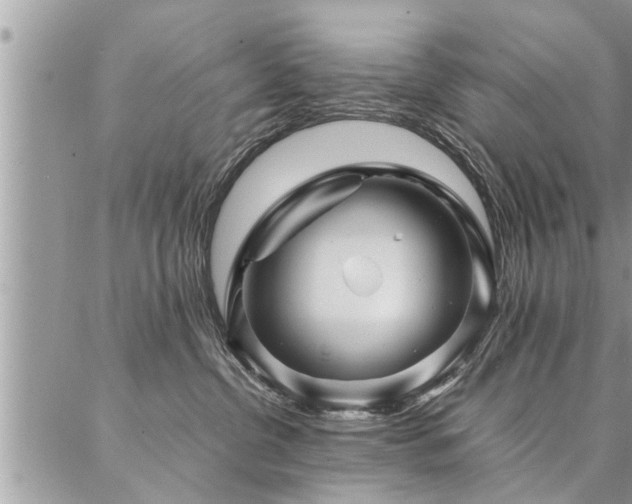 X0000087390380200704201248