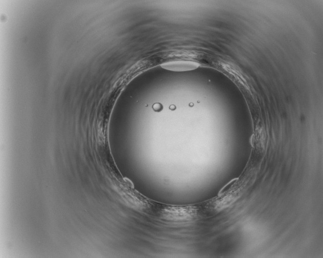 X0000087390381200704201248