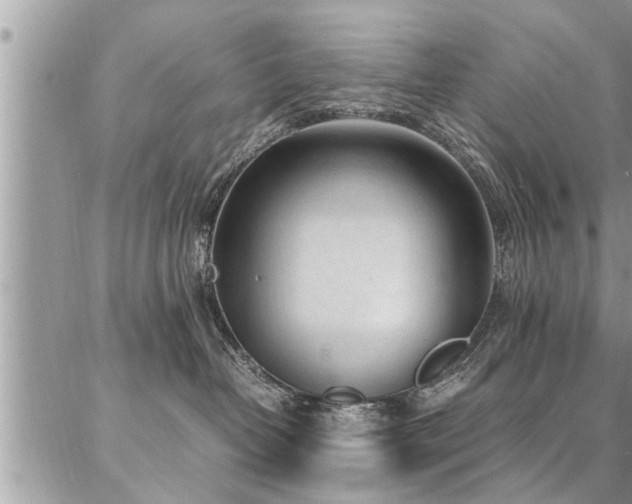 X0000087390382200704201248