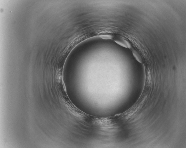 X0000087390383200704201248