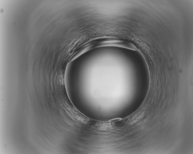 X0000087390384200704201248