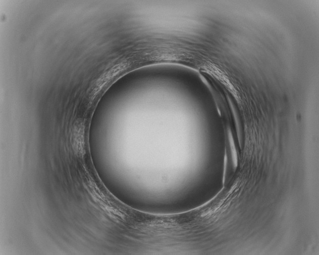 X0000087390386200704201248