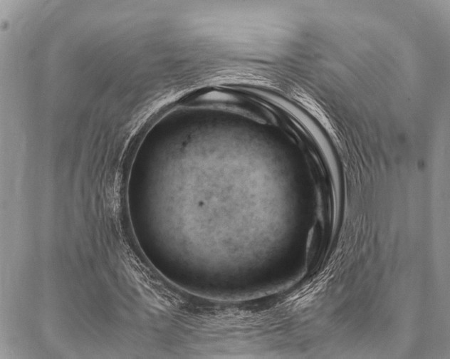 X0000087390387200704201248