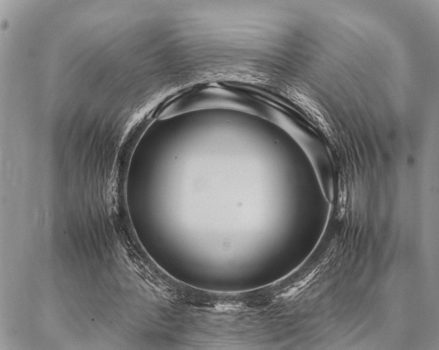 X0000087390388200704201248