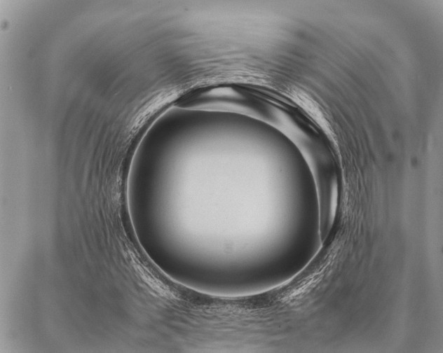 X0000087390389200704201248