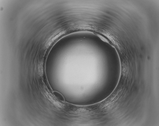 X0000087390390200704201247