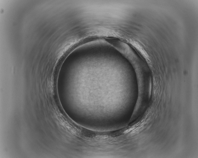 X0000087390391200704201247