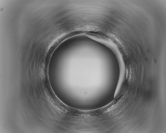 X0000087390392200704201247