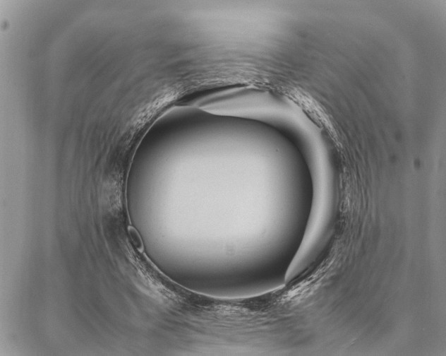 X0000087390393200704201247