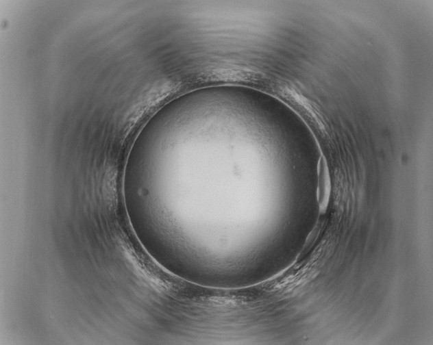 X0000087390394200704201247