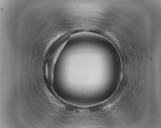 X0000087390395200704201247