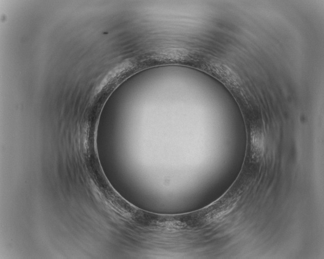 X0000087390396200704201247