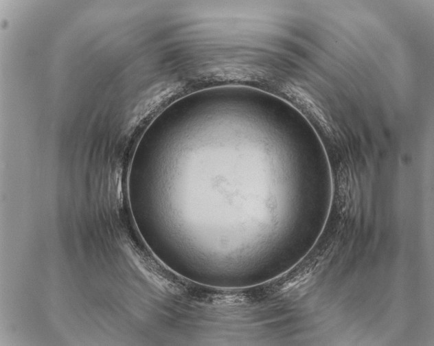 X0000087390398200704201247