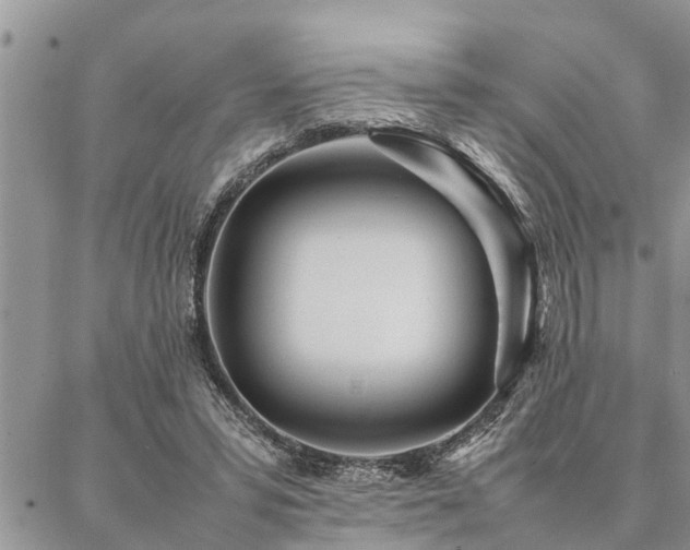 X0000087390399200704201247