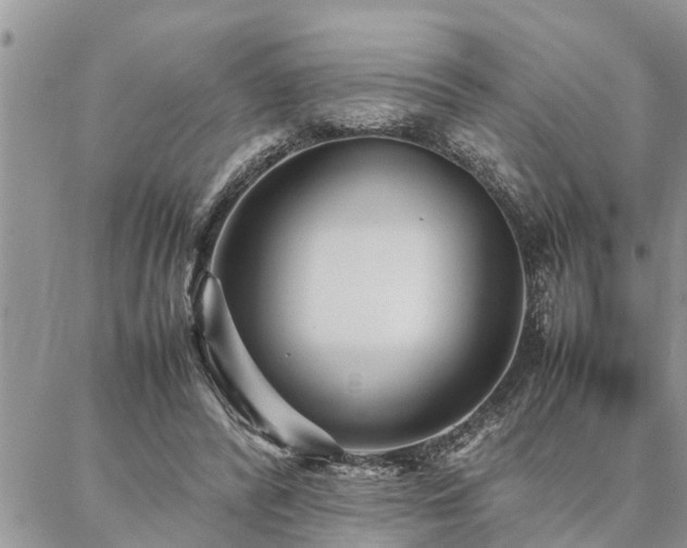 X0000087390400200704201247