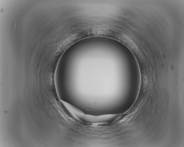 X0000087390401200704201247