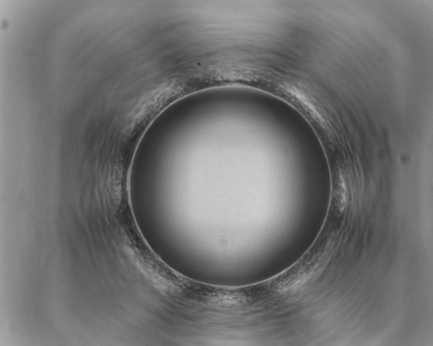 X0000087390402200704201247