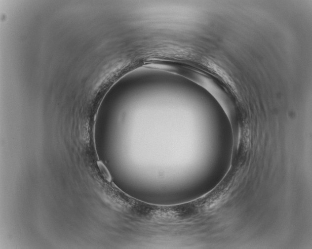 X0000087390403200704201247