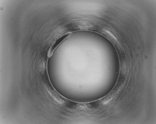 X0000087390405200704201247