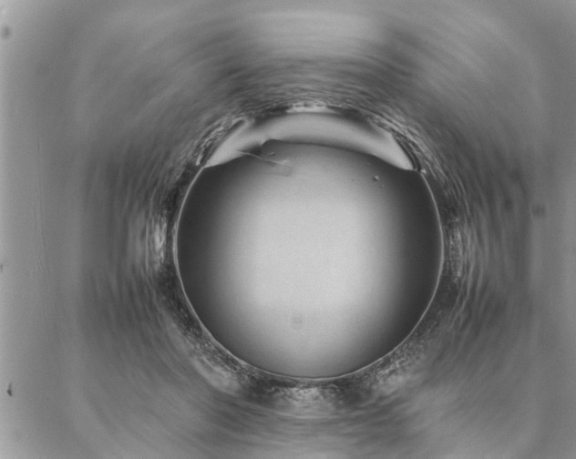 X0000087390406200704201247