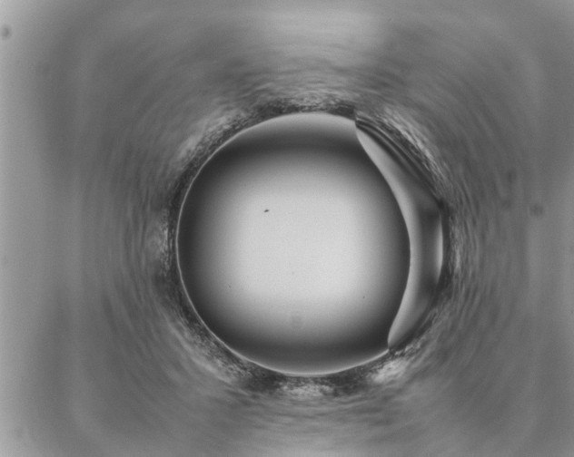 X0000087390407200704201247