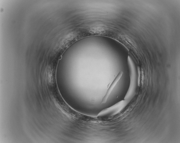 X0000087390408200704201247