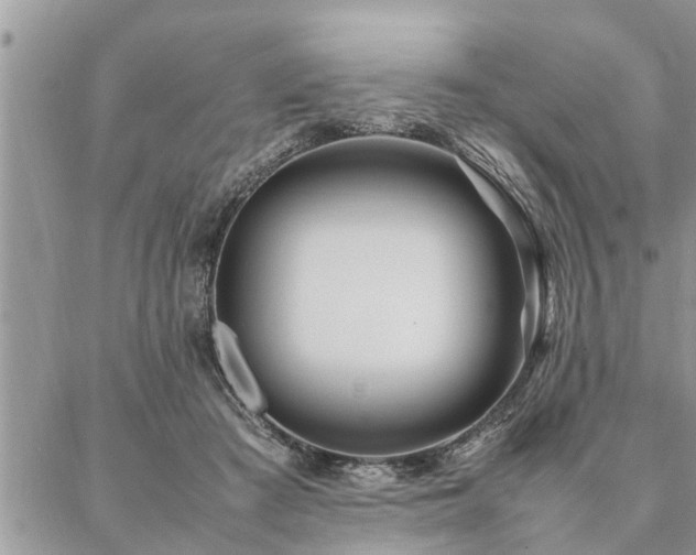 X0000087390409200704201247