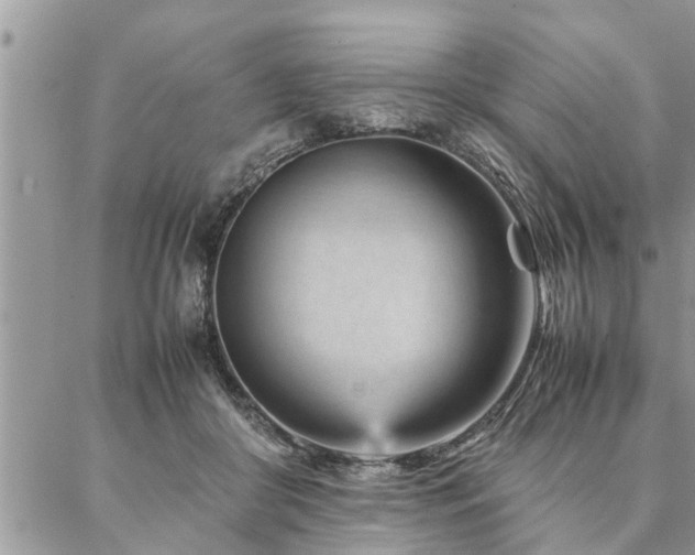 X0000087390410200704201247