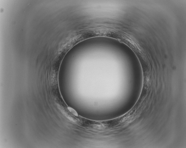 X0000087390411200704201247