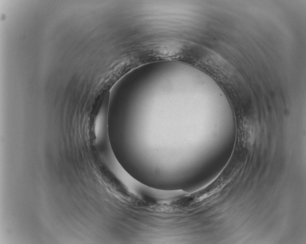 X0000087390412200704201247